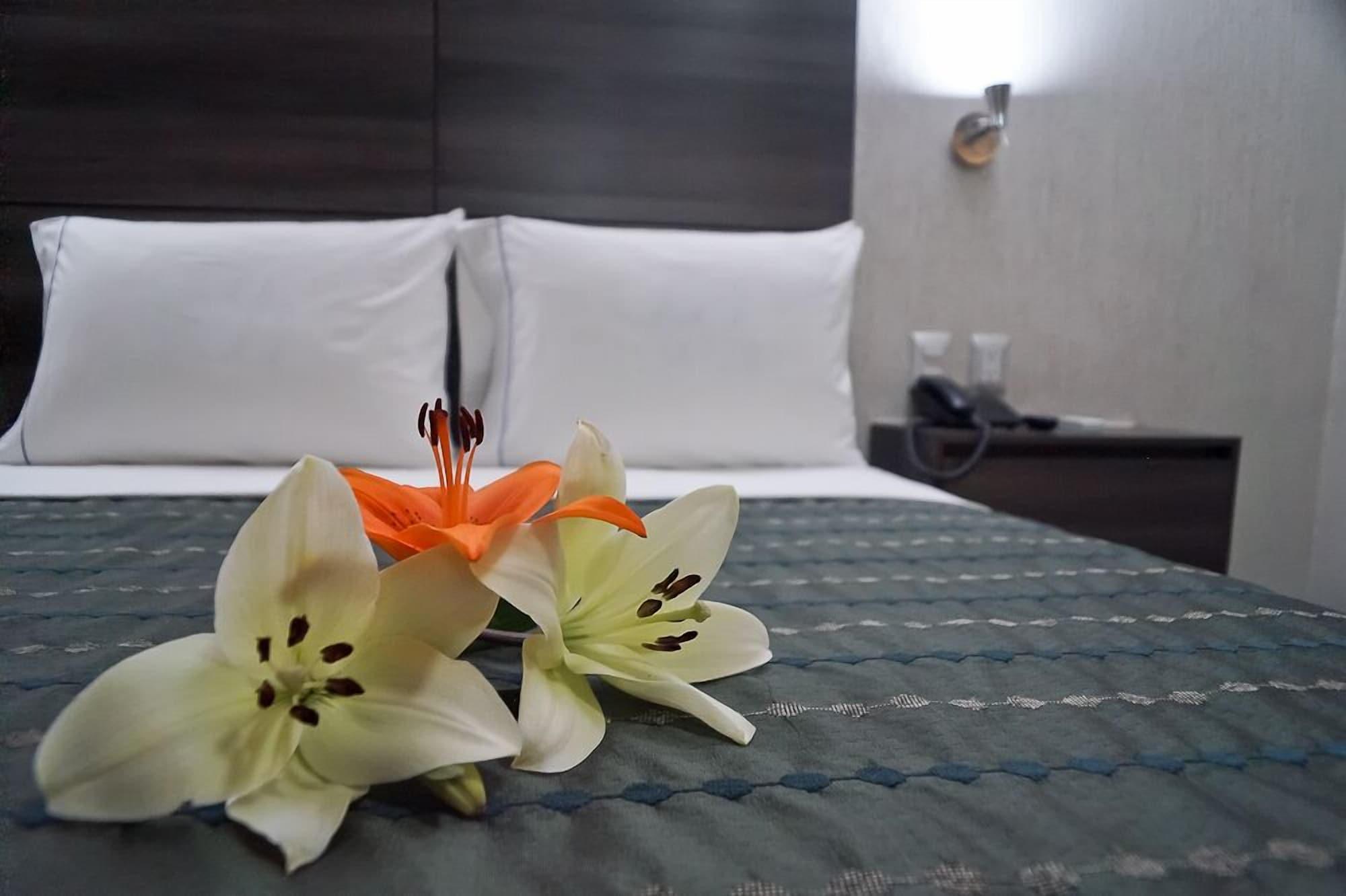 Hotel Expo Abastos Guadalajara Eksteriør billede